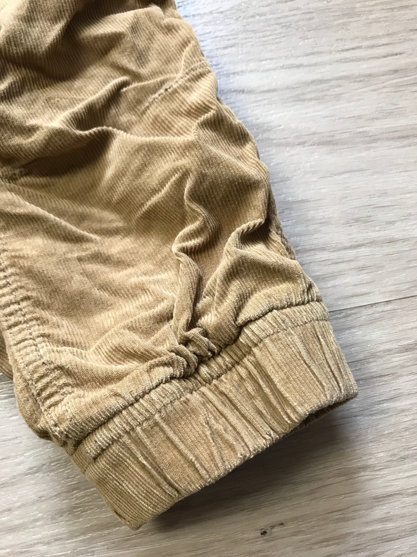 Hose
