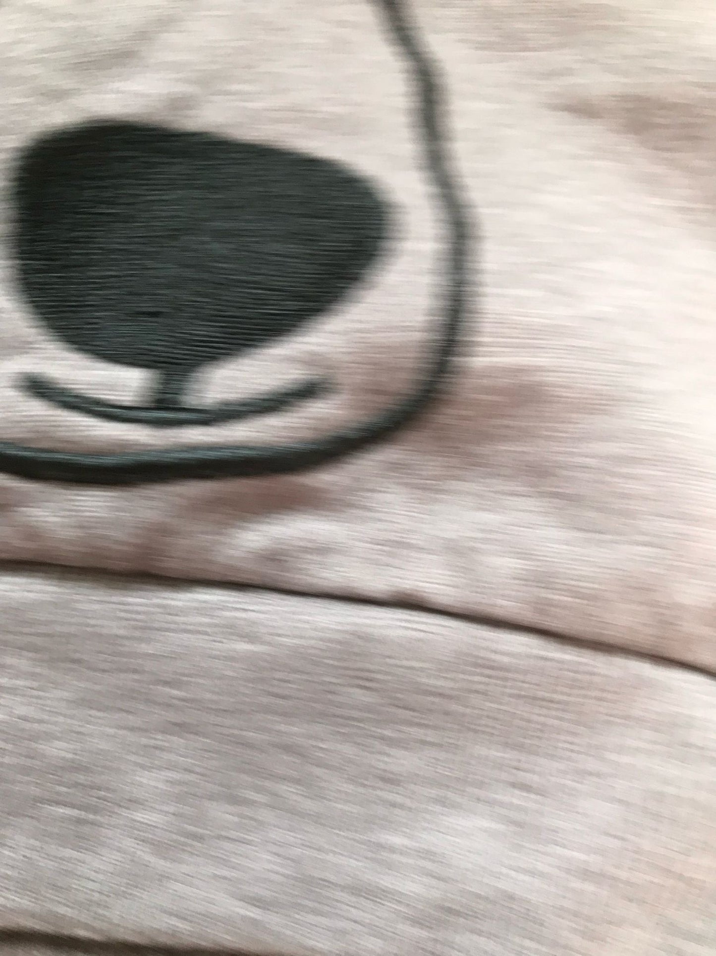 Pulli Bär