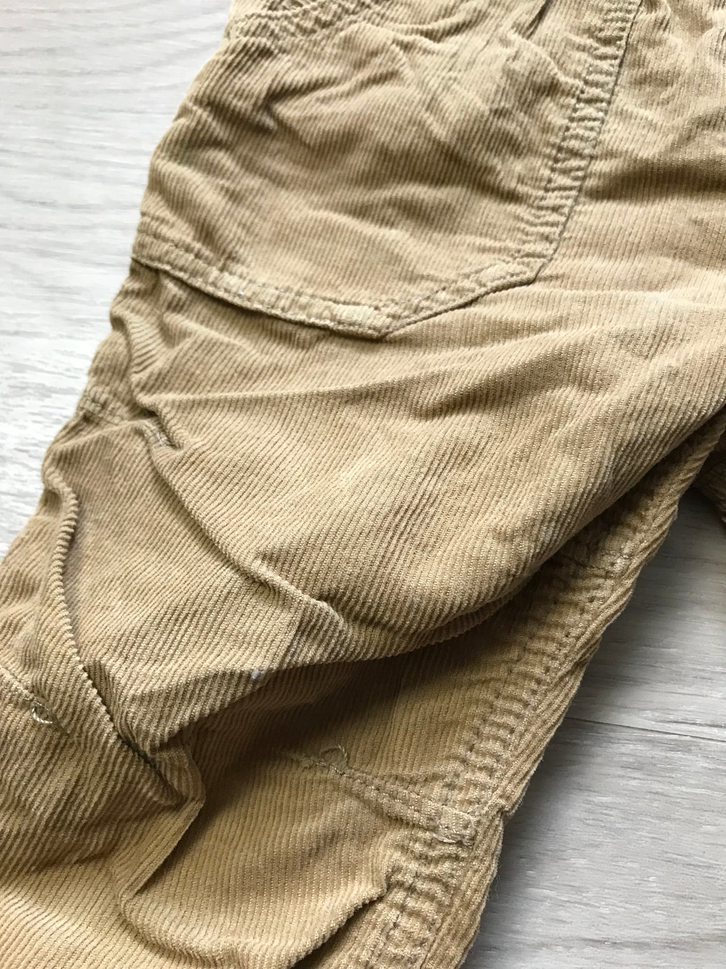 Hose