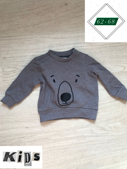 Pulli Bär
