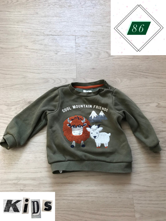 Pulli