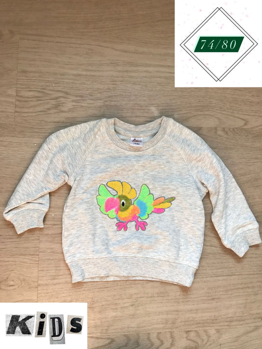 Pulli