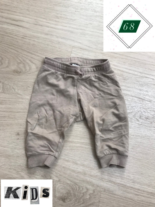 Hose