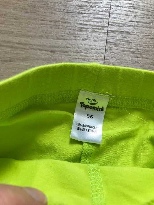 Hose