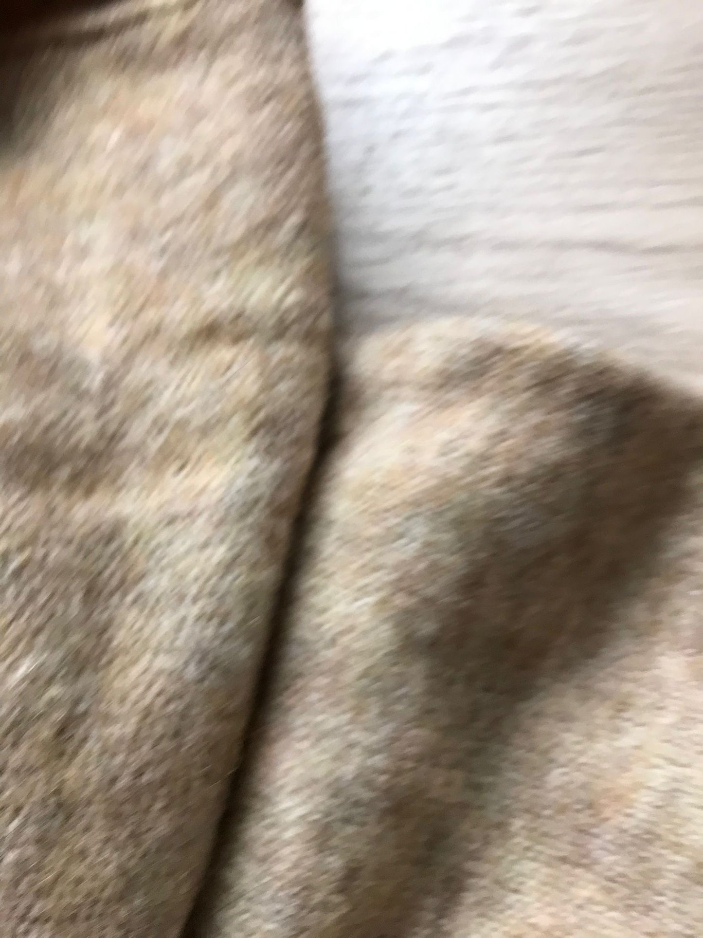 Pulli