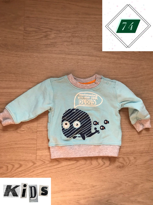 Pulli